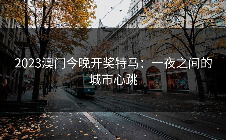 2023澳门今晚开奖特马：一夜之间的城市心跳