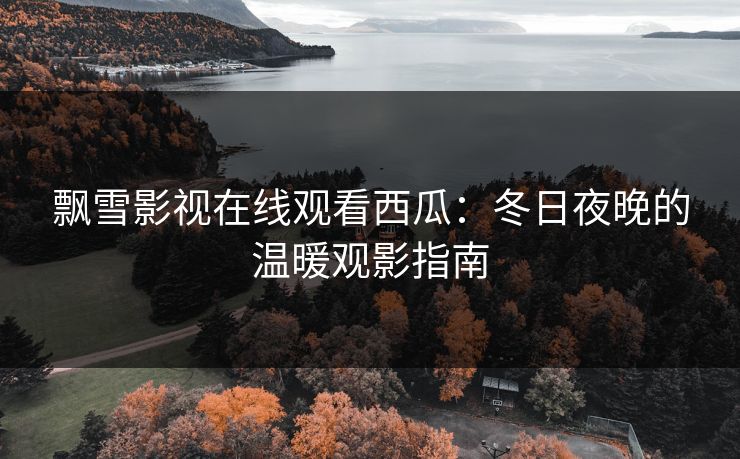 飘雪影视在线观看西瓜：冬日夜晚的温暖观影指南