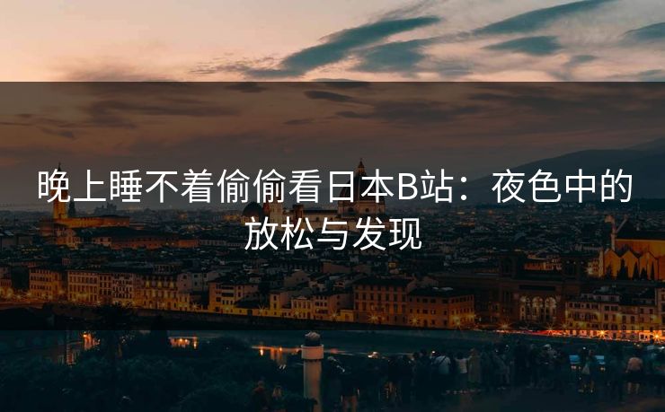 晚上睡不着偷偷看日本B站：夜色中的放松与发现
