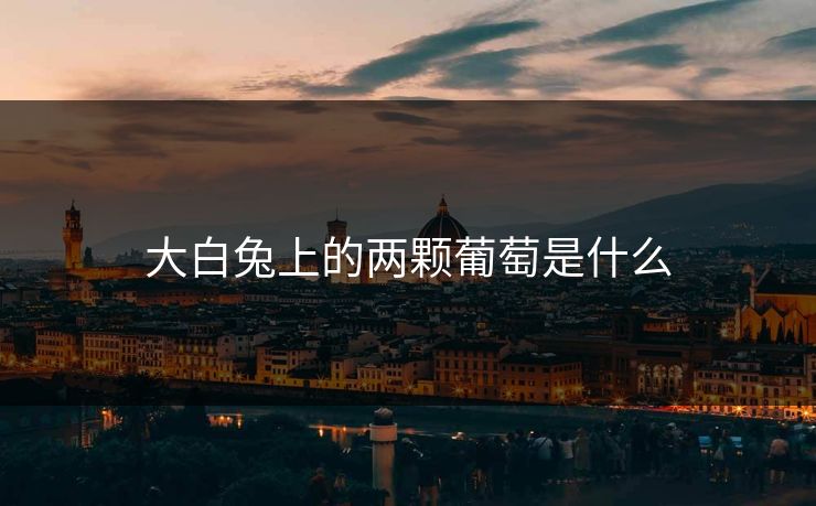 大白兔上的两颗葡萄是什么