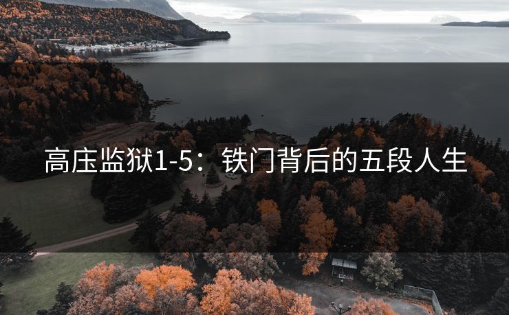 高庒监狱1-5：铁门背后的五段人生