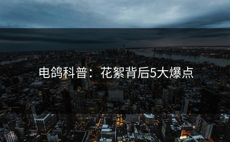 电鸽科普：花絮背后5大爆点