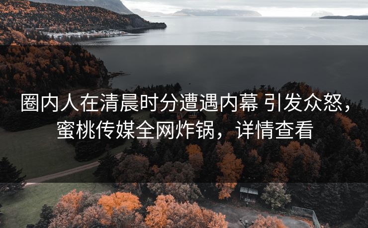 圈内人在清晨时分遭遇内幕 引发众怒，蜜桃传媒全网炸锅，详情查看