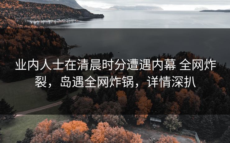 业内人士在清晨时分遭遇内幕 全网炸裂，岛遇全网炸锅，详情深扒