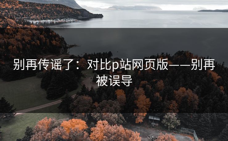 别再传谣了：对比p站网页版——别再被误导