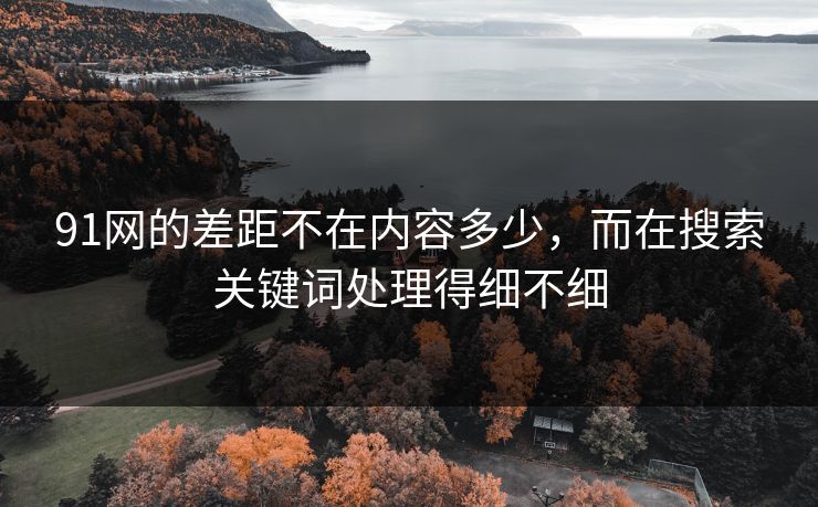 91网的差距不在内容多少，而在搜索关键词处理得细不细