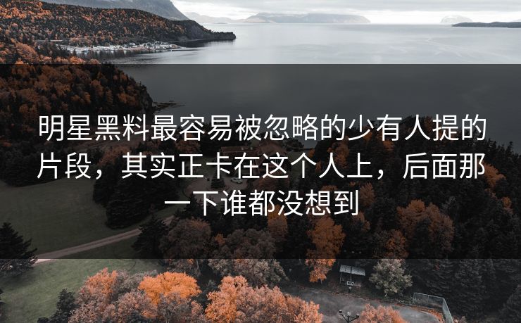 明星黑料最容易被忽略的少有人提的片段，其实正卡在这个人上，后面那一下谁都没想到